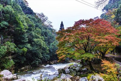 🏞️ 호쾌한 계곡(고케이) 이미지 2